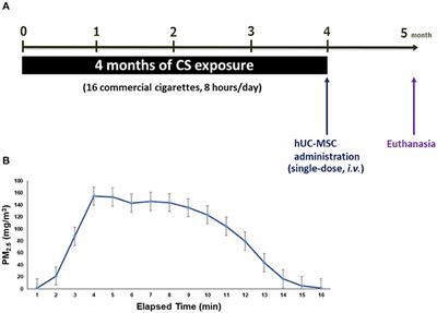 Therapeutic Potential of Human Umbilical Cord-Derived Mesenchymal Stem Cells in Recovering From Murine Pulmonary Emphysema Under Cigarette Smoke Exposure